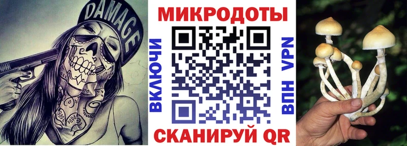 Галлюциногенные грибы мицелий  Камешково 